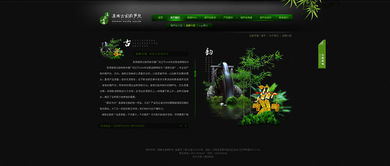 滇南古韻與數(shù)字未來(lái) 奧遠(yuǎn)科技以創(chuàng)新技術(shù)服務(wù)云南